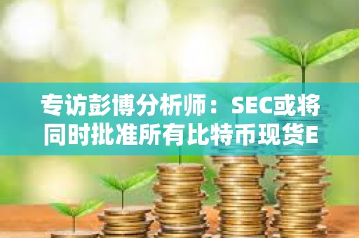 专访彭博分析师：SEC或将同时批准所有比特币现货ETF 以太坊现货ETF或于明年5月获批