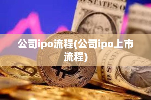 公司ipo流程(公司ipo上市流程)