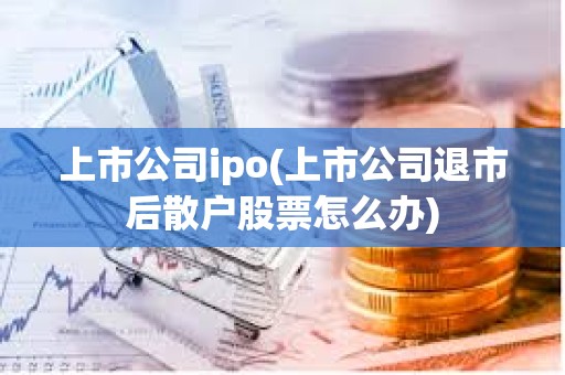 上市公司ipo(上市公司退市后散户股票怎么办)