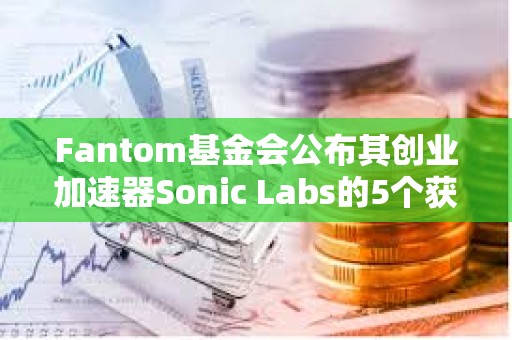 Fantom基金会公布其创业加速器Sonic Labs的5个获奖项目