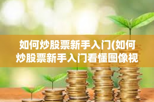 如何炒股票新手入门(如何炒股票新手入门看懂图像视频)