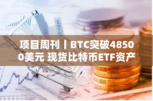 项目周刊丨BTC突破48500美元 现货比特币ETF资产管理规模达100亿美元里程碑