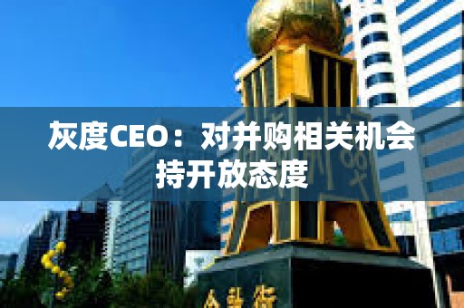 灰度CEO：对并购相关机会持开放态度