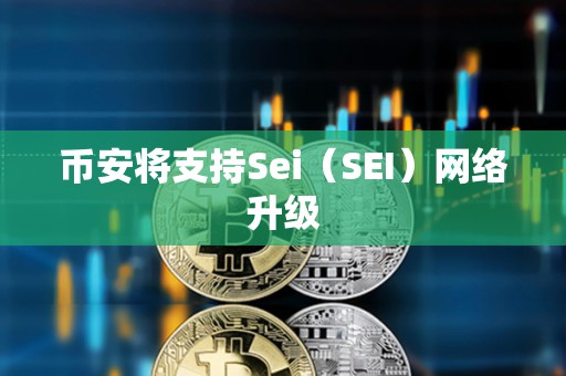 币安将支持Sei（SEI）网络升级