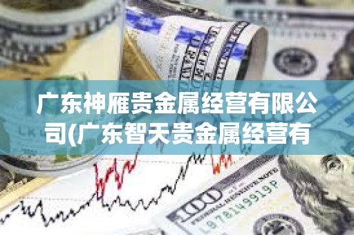 广东神雁贵金属经营有限公司(广东智天贵金属经营有限公司)