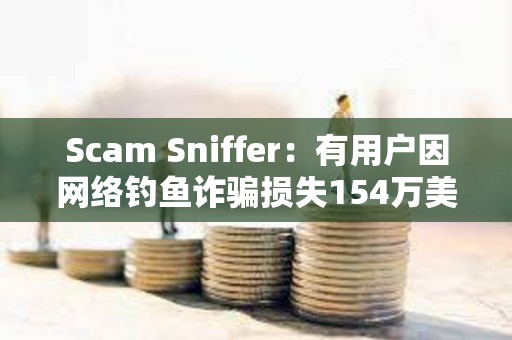 Scam Sniffer：有用户因网络钓鱼诈骗损失154万美元