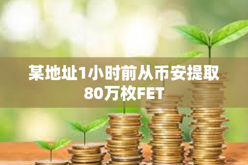 某地址1小时前从币安提取80万枚FET