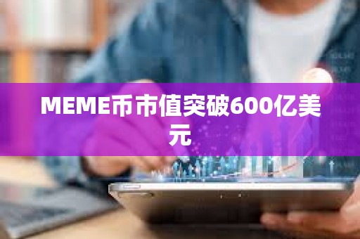 MEME币市值突破600亿美元