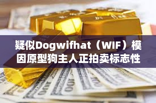 疑似Dogwifhat（WIF）模因原型狗主人正拍卖标志性照片NFT