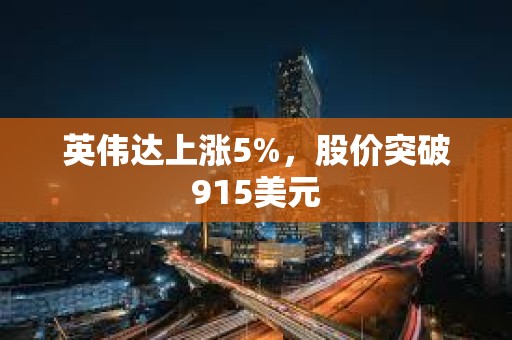 英伟达上涨5%，股价突破915美元