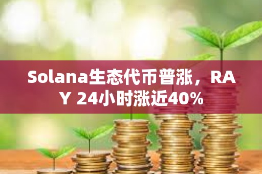 Solana生态代币普涨，RAY 24小时涨近40%