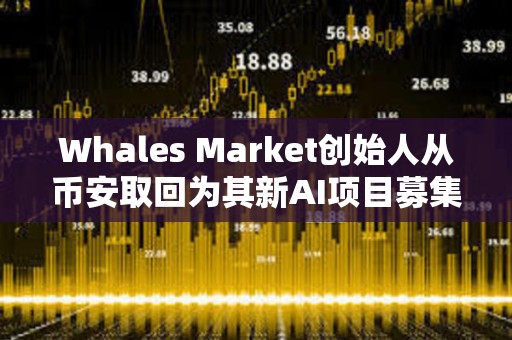 Whales Market创始人从币安取回为其新AI项目募集的10%SOL