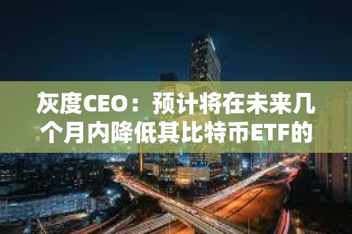 灰度CEO：预计将在未来几个月内降低其比特币ETF的费用