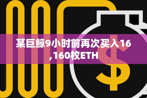 某巨鲸9小时前再次买入16,160枚ETH