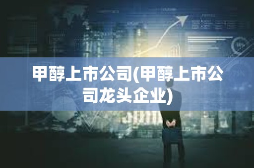 甲醇上市公司(甲醇上市公司龙头企业)