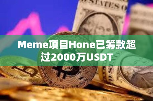 Meme项目Hone已筹款超过2000万USDT