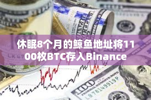 休眠8个月的鲸鱼地址将1100枚BTC存入Binance