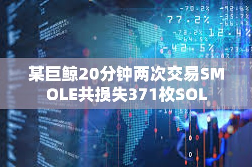 某巨鲸20分钟两次交易SMOLE共损失371枚SOL