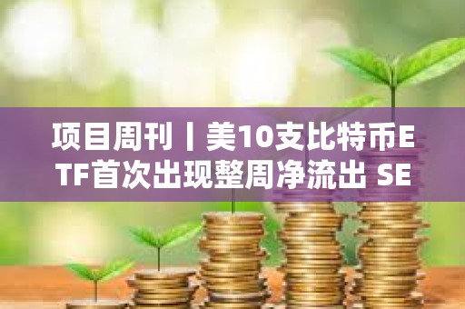 项目周刊丨美10支比特币ETF首次出现整周净流出 SEC发起将以太坊归类为证券的法律运动