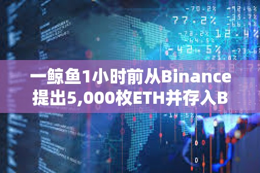 一鲸鱼1小时前从Binance提出5,000枚ETH并存入Blast