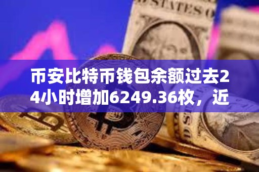 币安比特币钱包余额过去24小时增加6249.36枚，近7天流入15565.89枚