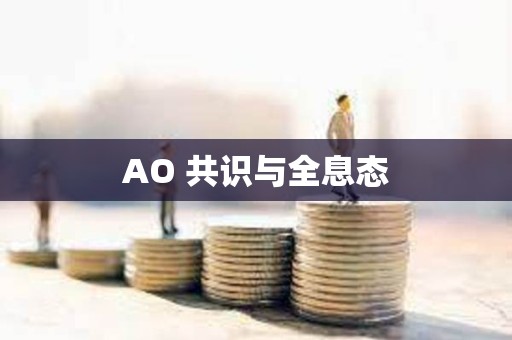 AO 共识与全息态