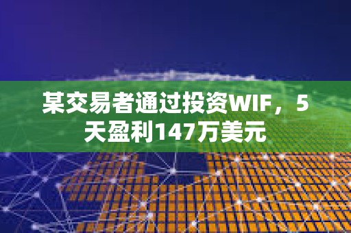 某交易者通过投资WIF，5天盈利147万美元