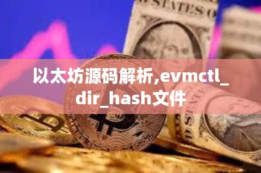 以太坊源码解析,evmctl_dir_hash文件