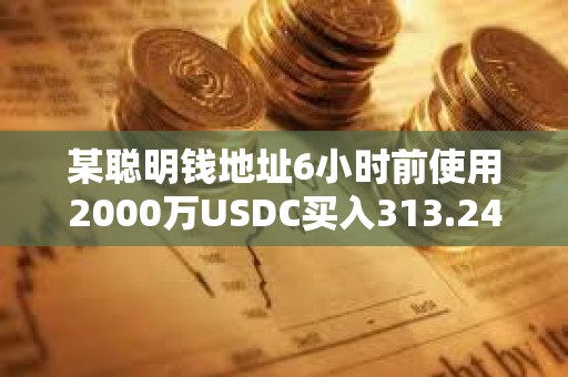 某聪明钱地址6小时前使用2000万USDC买入313.24枚WBTC