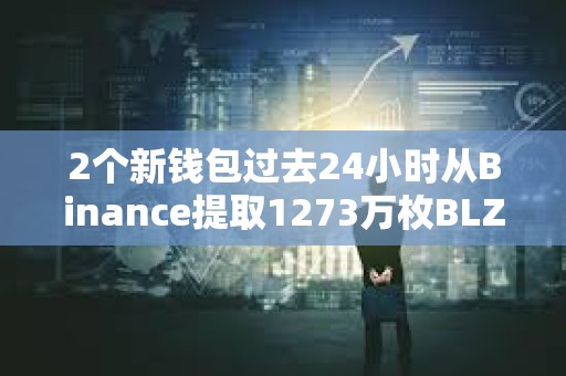 2个新钱包过去24小时从Binance提取1273万枚BLZ