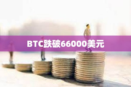 BTC跌破66000美元