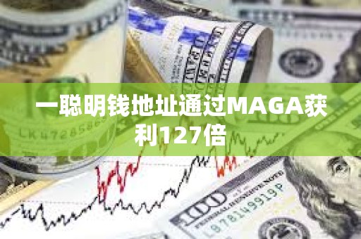 一聪明钱地址通过MAGA获利127倍