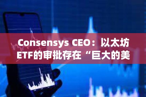 Consensys CEO：以太坊ETF的审批存在“巨大的美国政治问题”