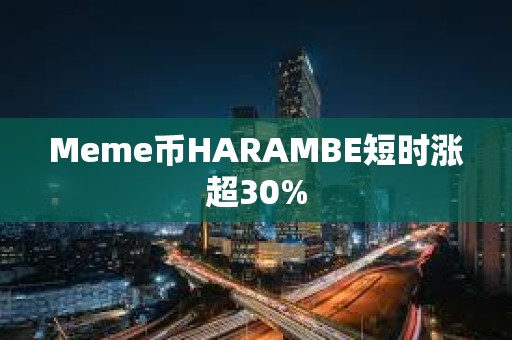 Meme币HARAMBE短时涨超30%