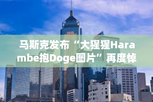 马斯克发布“大猩猩Harambe抱Doge图片”再度悼念DOGE原型柴犬KABOSU