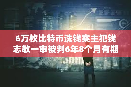 6万枚比特币洗钱案主犯钱志敏一审被判6年8个月有期徒刑