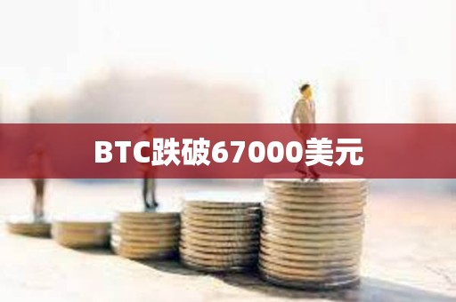 BTC跌破67000美元