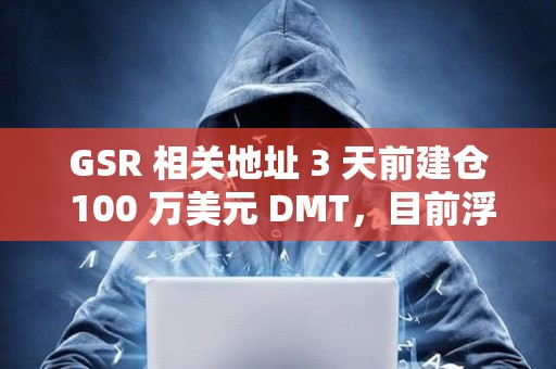 GSR 相关地址 3 天前建仓 100 万美元 DMT，目前浮盈 24%