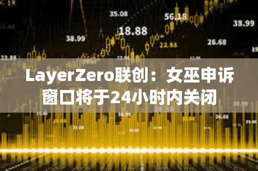 LayerZero联创：女巫申诉窗口将于24小时内关闭