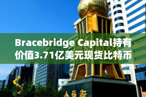 Bracebridge Capital持有价值3.71亿美元现货比特币ETF，系IBIT和ARKB头号持有人