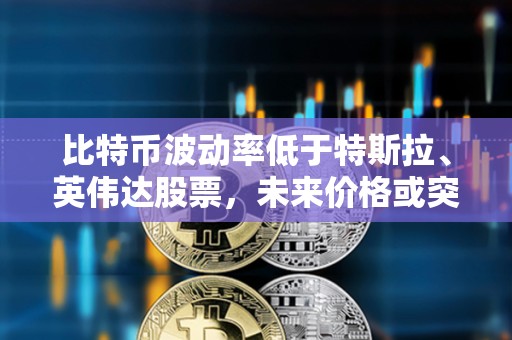 比特币波动率低于特斯拉、英伟达股票，未来价格或突破10万美元