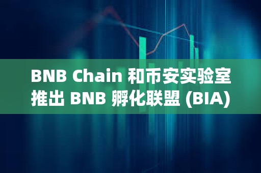 BNB Chain 和币安实验室推出 BNB 孵化联盟 (BIA)