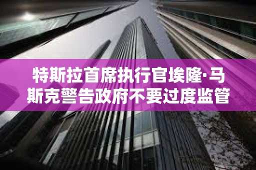 特斯拉首席执行官埃隆·马斯克警告政府不要过度监管