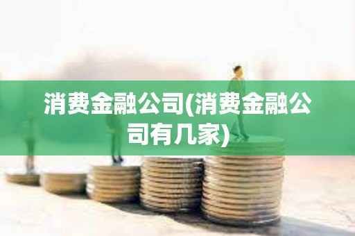 消费金融公司(消费金融公司有几家)