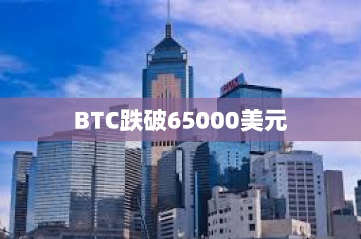 BTC跌破65000美元