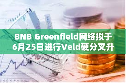 BNB Greenfield网络拟于6月25日进行Veld硬分叉升级