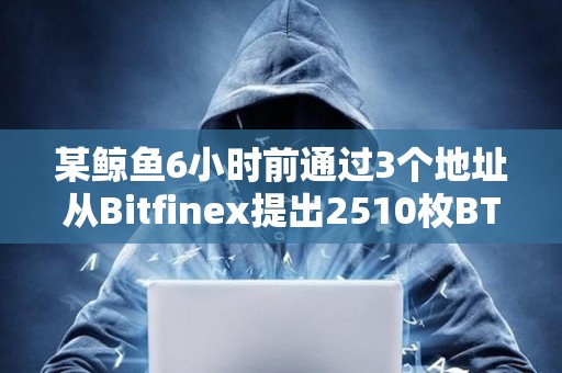 某鲸鱼6小时前通过3个地址从Bitfinex提出2510枚BTC