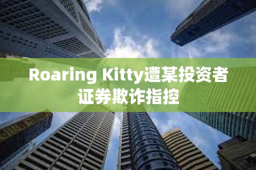 Roaring Kitty遭某投资者证券欺诈指控