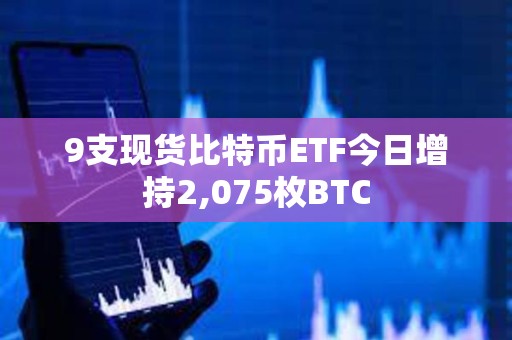 9支现货比特币ETF今日增持2,075枚BTC