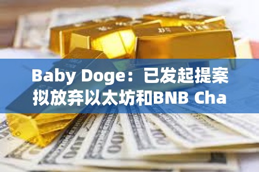 Baby Doge：已发起提案拟放弃以太坊和BNB Chain上的代币合约